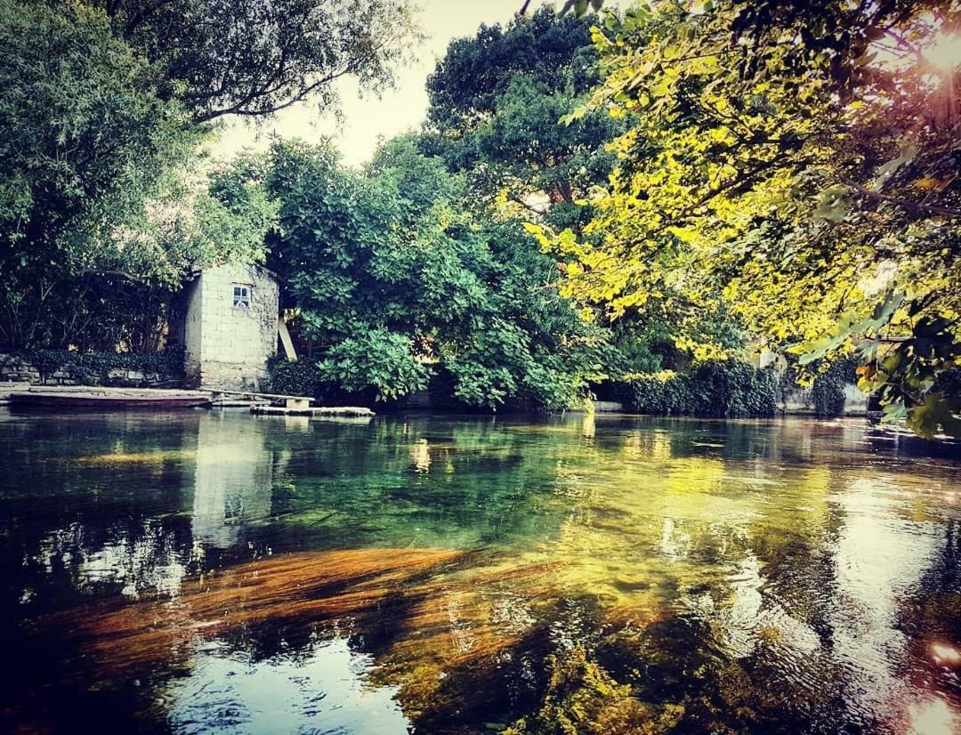 Mas Et De La Picholine L'Isle-sur-la-Sorgue